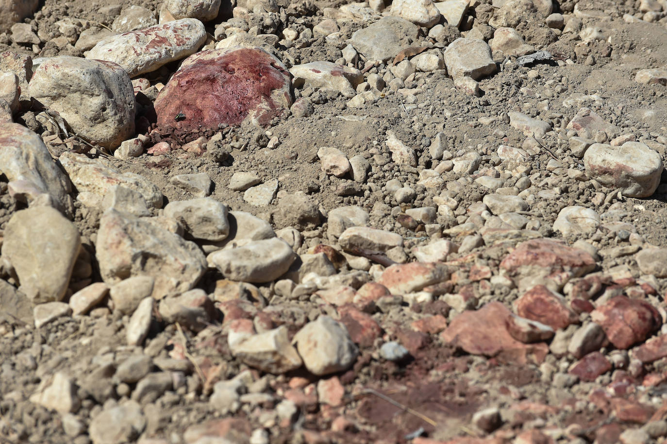 Hallan el cadáver de una joven en Abanilla