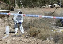 Un agente recoge pruebas en el lugar donde se halló el cadáver.