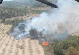 Fotografía aérea de la zona afectada por el fuego.