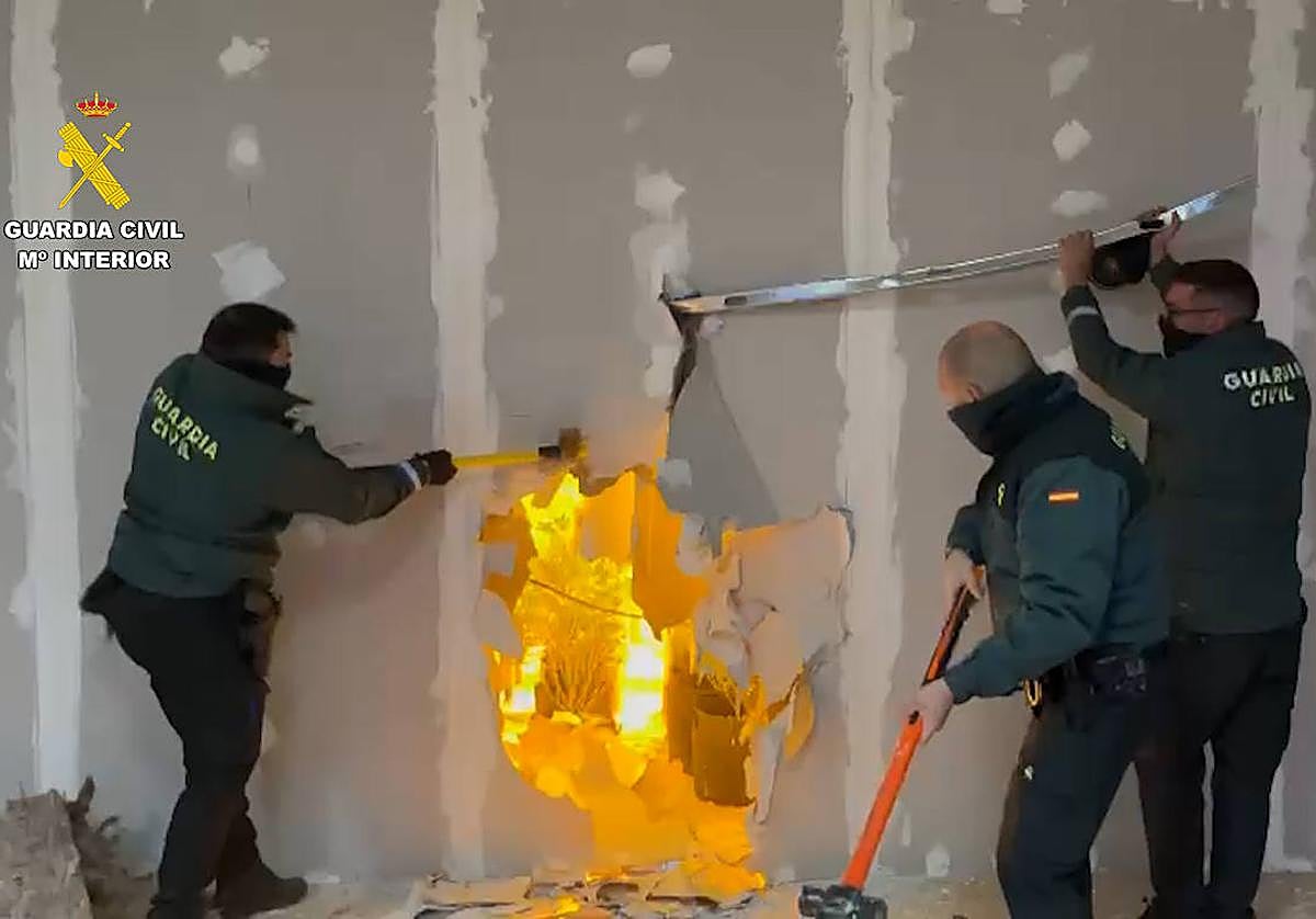 El invernadero con plantas de marihuana en Puerto Lumbreras oculto tras una pared falsa.