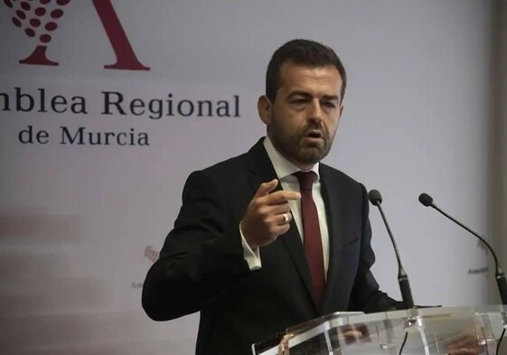Rubén Martínez Alpañez, durante una comparecencia en la Asamblea.