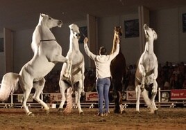 Equimur cuenta con destacados concursos y exhibiciones.