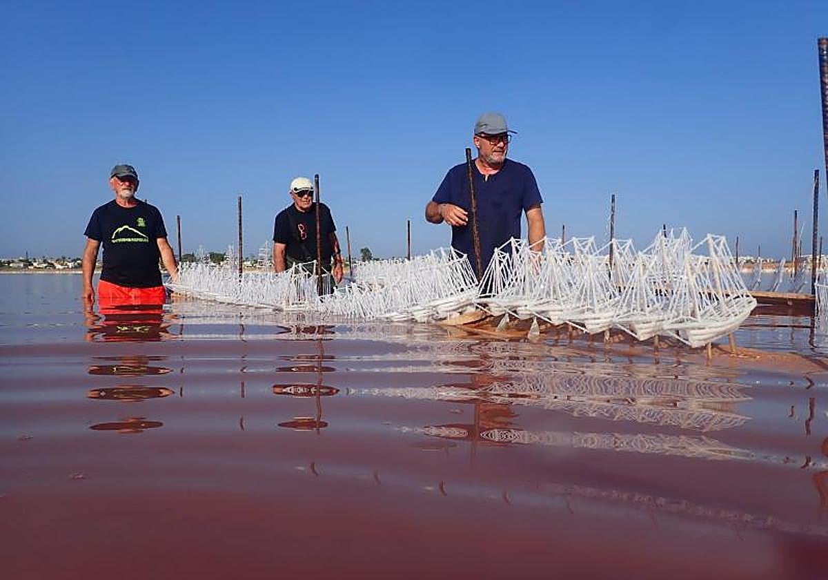 Tres artesanos sacan un hilera de barcos cuajados sumergidos en la Laguna Rosa.