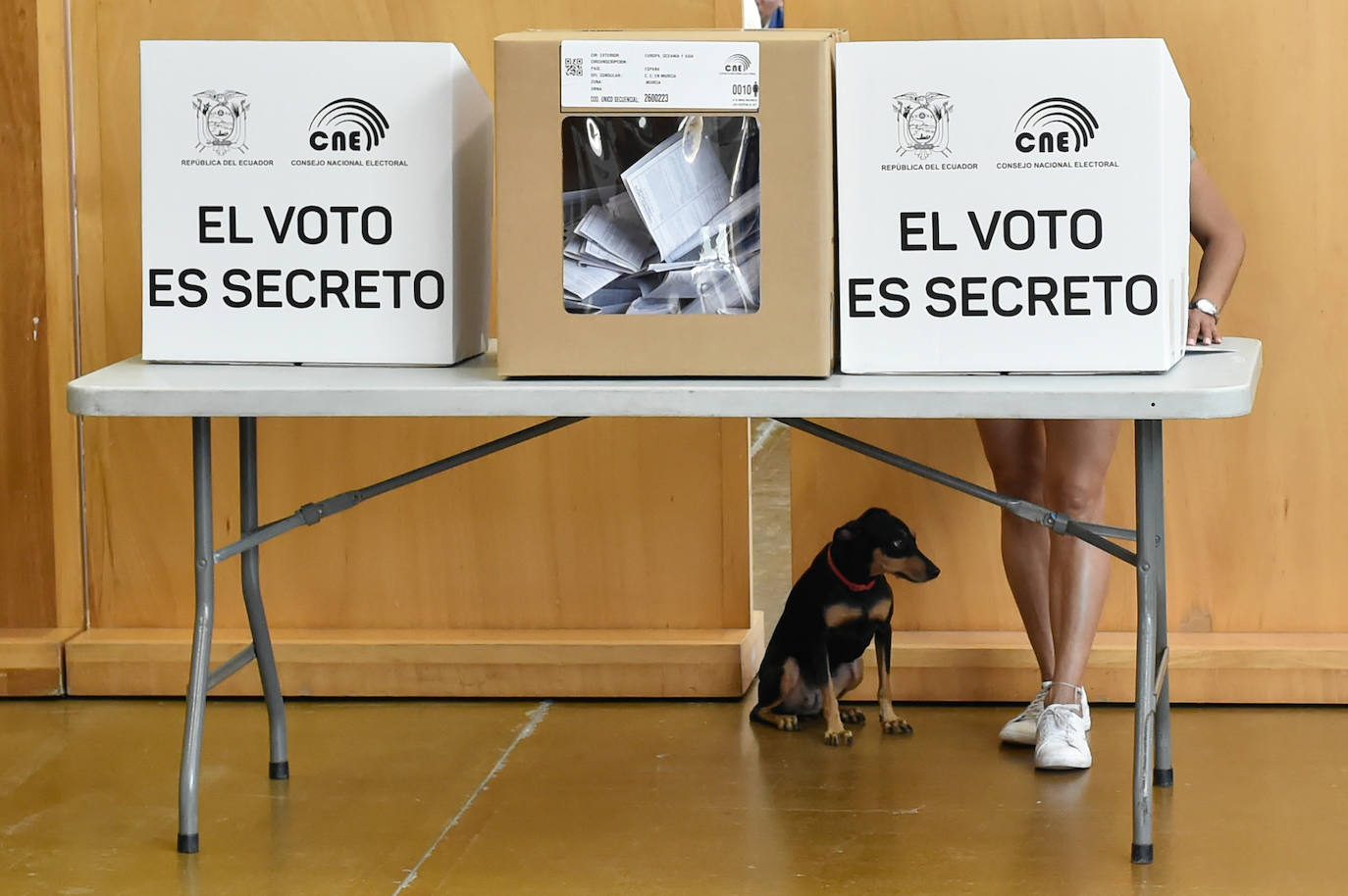Las imágenes del voto de los ecuatorianos de la Región