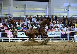 Un jinete y su caballo participan en una prueba de Equimur.