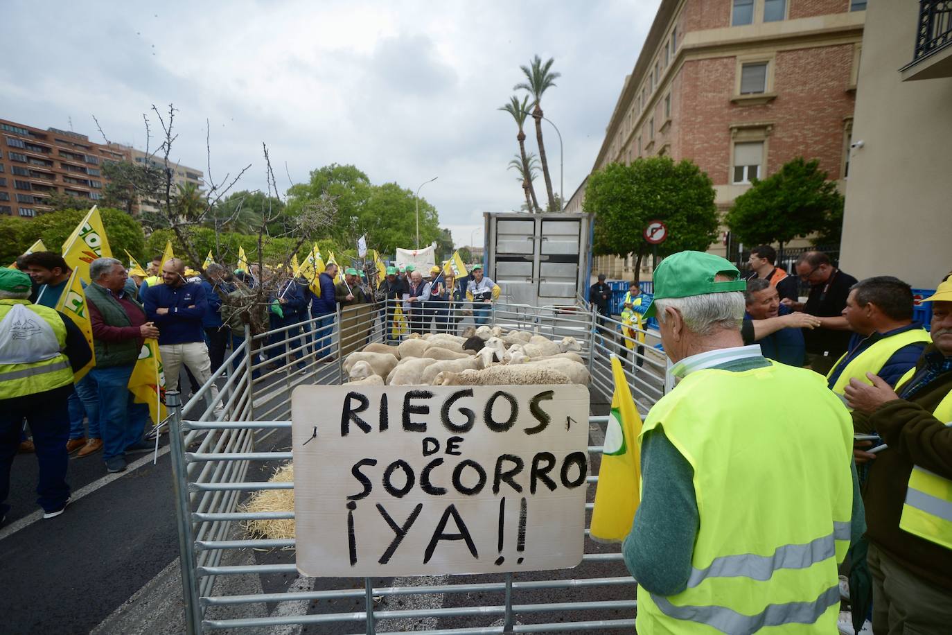 La protesta de agricultores y ganaderos de las zonas de secano ante la Delegación del Gobierno, en imágenes