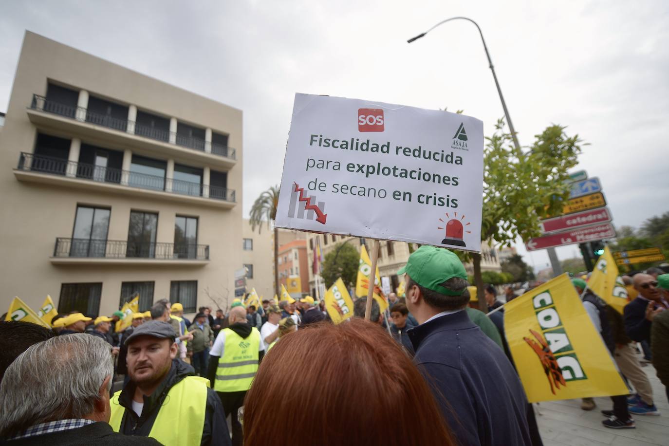 La protesta de agricultores y ganaderos de las zonas de secano ante la Delegación del Gobierno, en imágenes