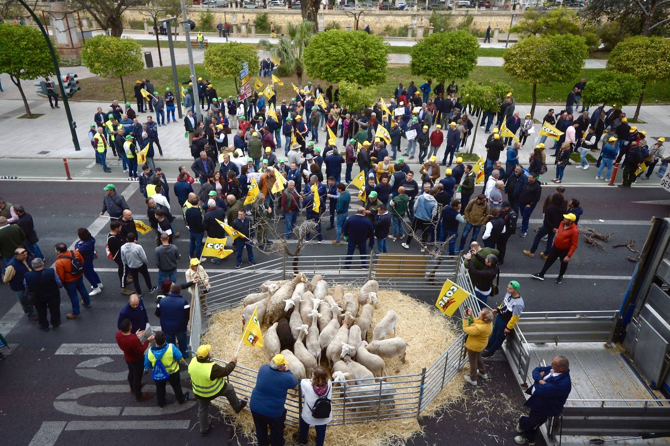 La protesta de agricultores y ganaderos de las zonas de secano ante la Delegación del Gobierno, en imágenes