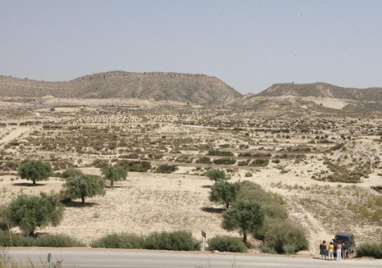 En la anterior ocasión en la que estudió la planta, se planteó su ubicación en el paraje La Ermita-La Pistola, entre Torremendo y Lo Capitán.