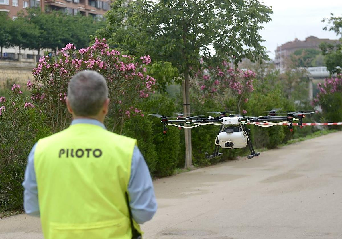 Un piloto de Lokímica vuela un dron en la zona del río Segura.