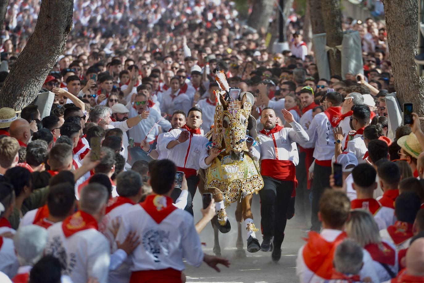 La carrera de los Caballos del Vino, en imágenes