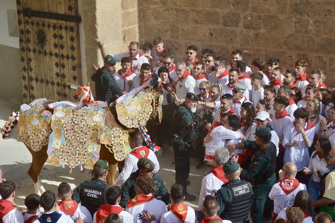 La carrera de los Caballos del Vino, en imágenes