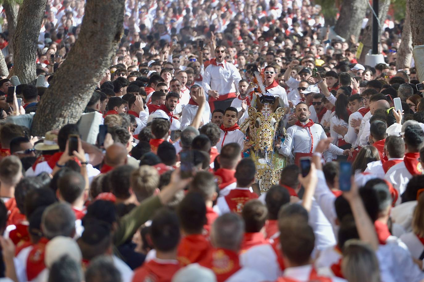 La carrera de los Caballos del Vino, en imágenes