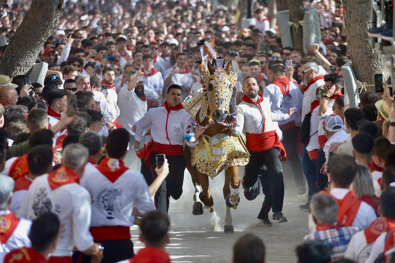 La carrera de los Caballos del Vino, en imágenes