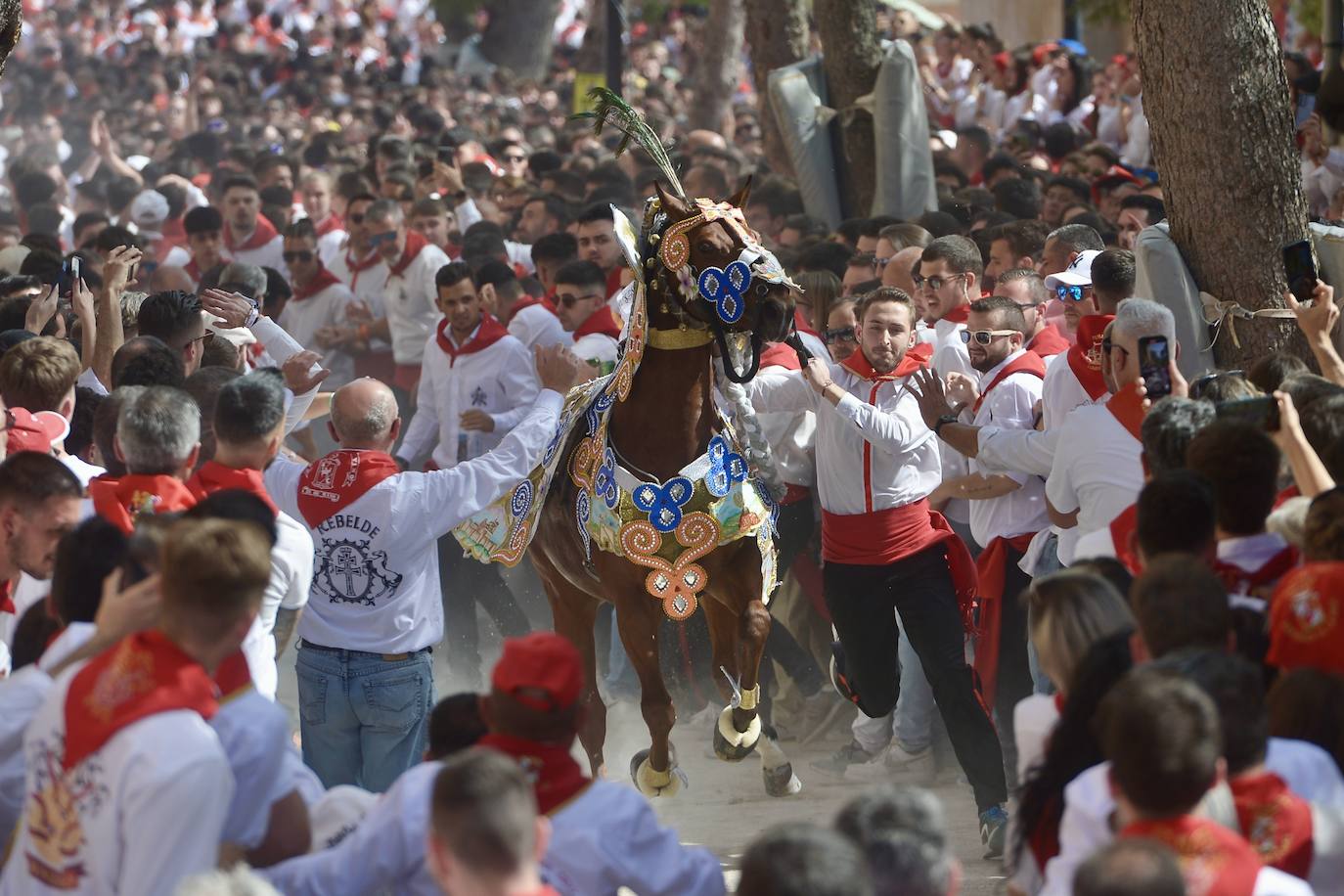 La carrera de los Caballos del Vino, en imágenes