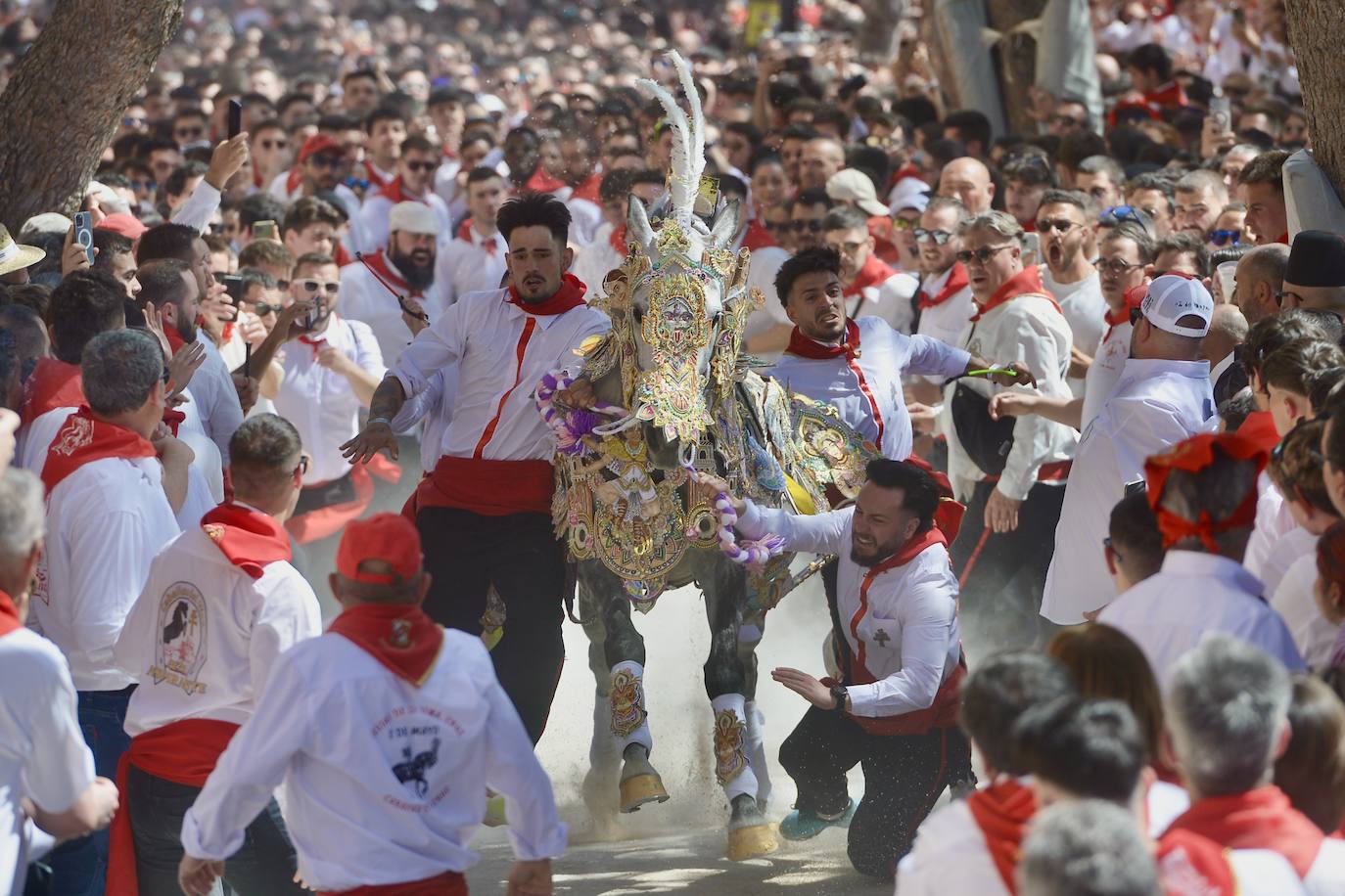 La carrera de los Caballos del Vino, en imágenes