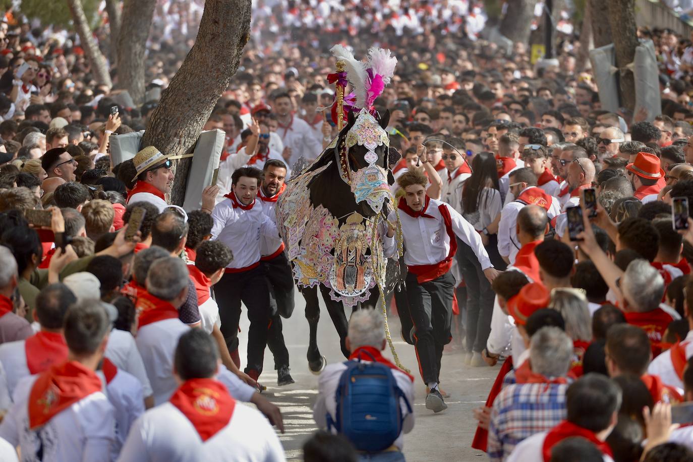 La carrera de los Caballos del Vino, en imágenes
