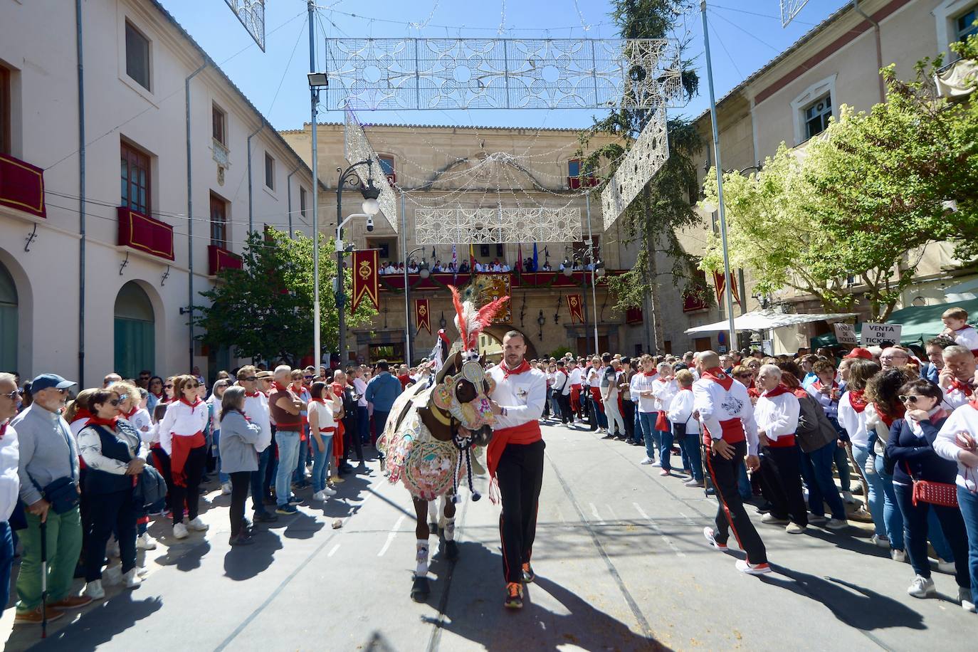 Las imágenes de la marea roja y blanca de los Caballos del Vino de Caravaca