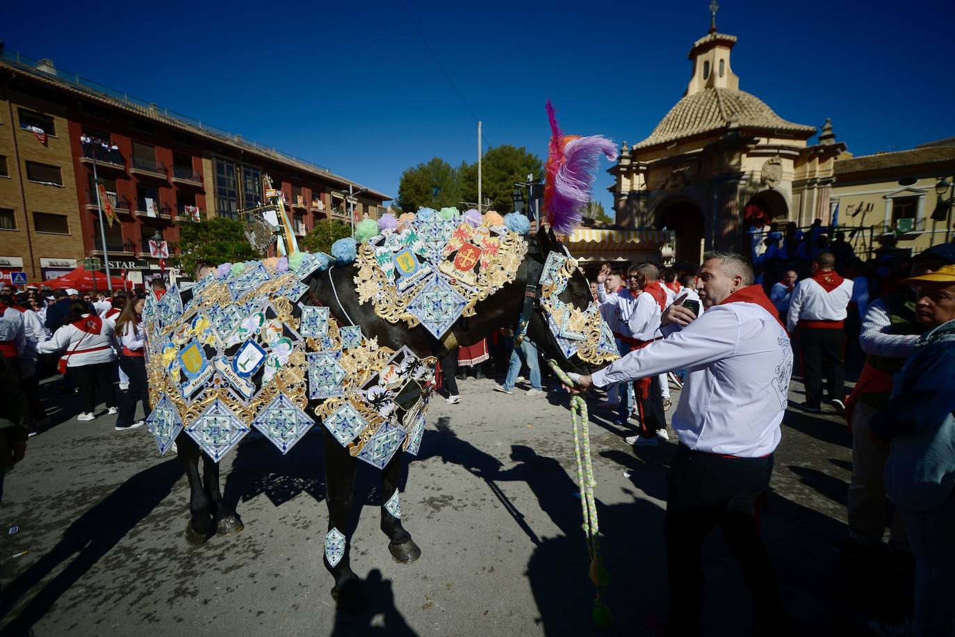 Las imágenes de la marea roja y blanca de los Caballos del Vino de Caravaca
