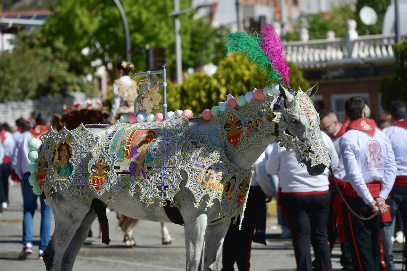 Las imágenes de la marea roja y blanca de los Caballos del Vino de Caravaca