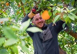 El agricultor Paco Orenes.