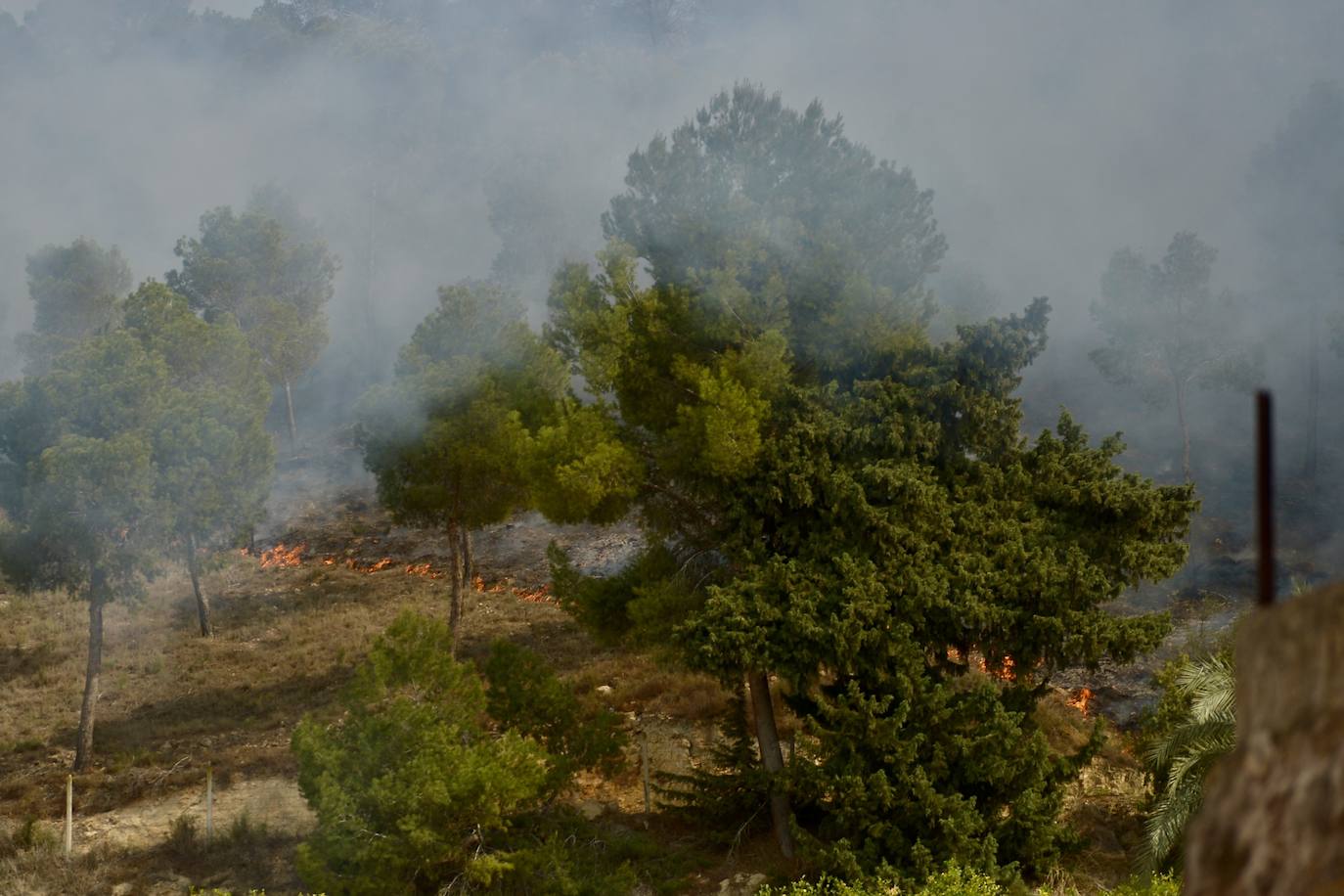 Sofocan un incendio forestal entre San José de la Vega y El Garruchal, en Murcia