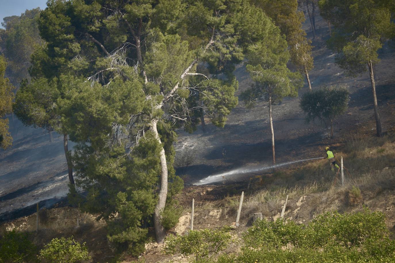 Sofocan un incendio forestal entre San José de la Vega y El Garruchal, en Murcia