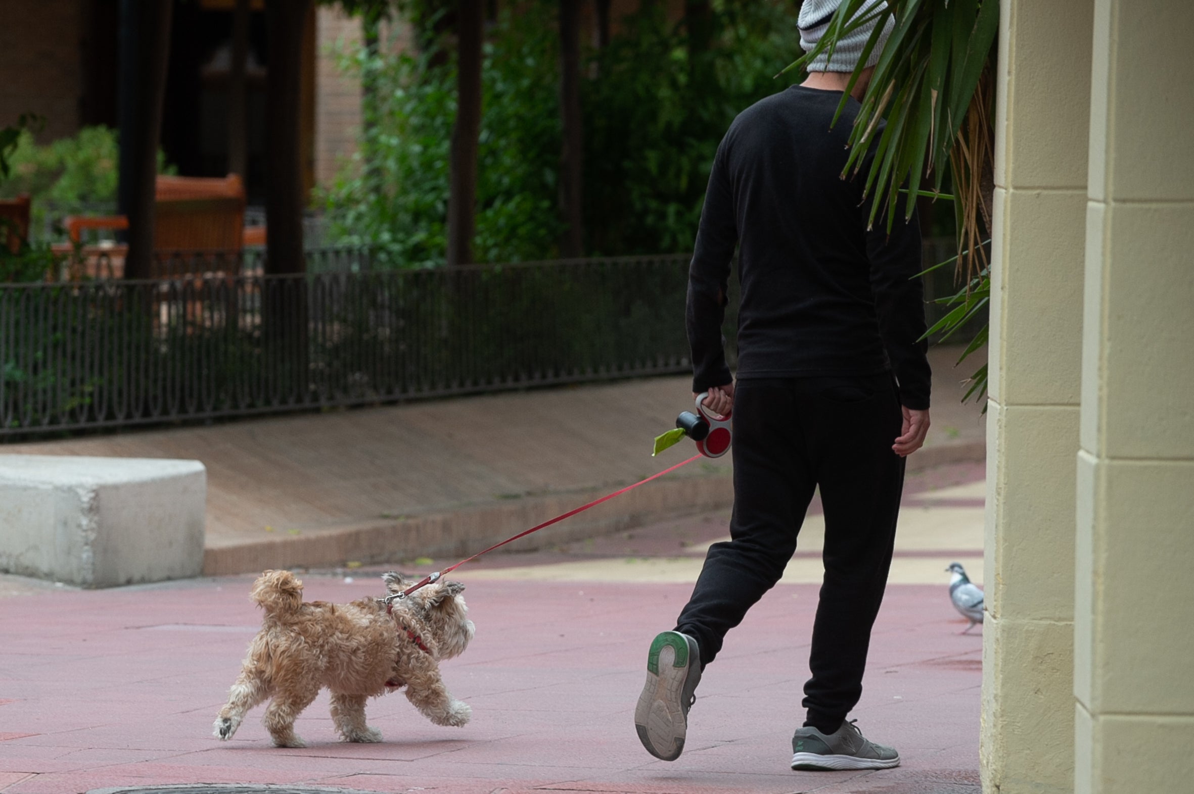 Un hombre pasea a su perro en una imagen de archivo.