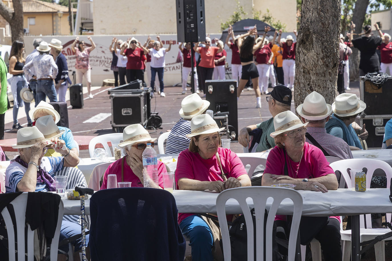 Las imágenes de la convivencia de mayores en Cartagena
