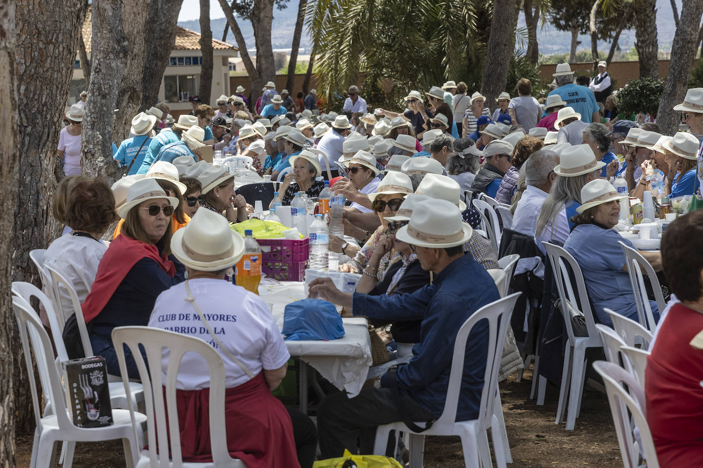 Las imágenes de la convivencia de mayores en Cartagena