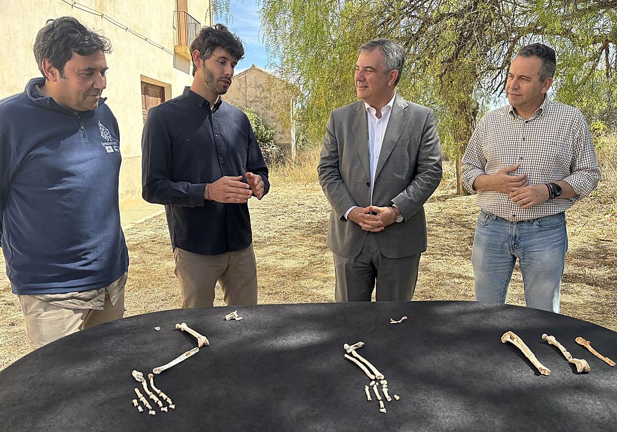 Los responsables del yacimiento muestran los restos de lince ibérico hallados en Quibas.