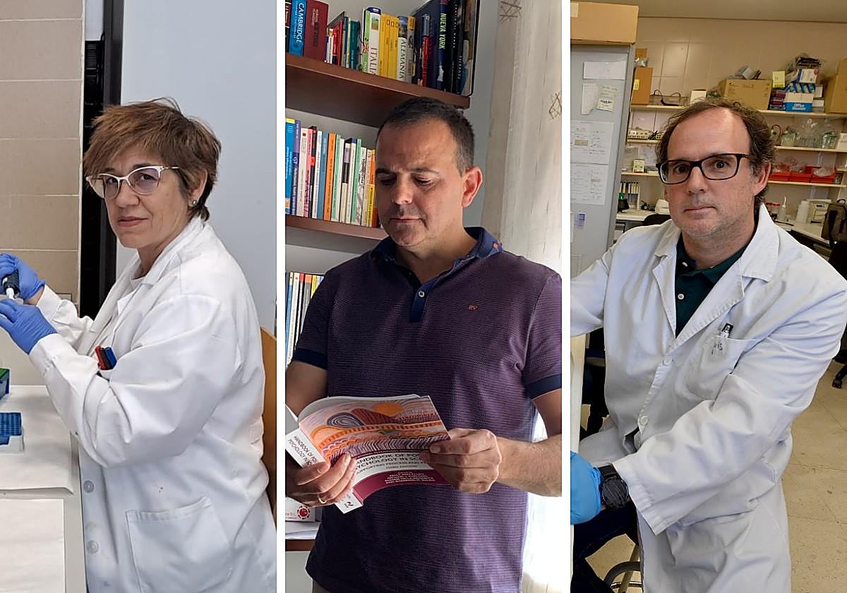 Isabel Martínez Argudo, José Antonio Piqueras y Luis Sánchez del Campo.