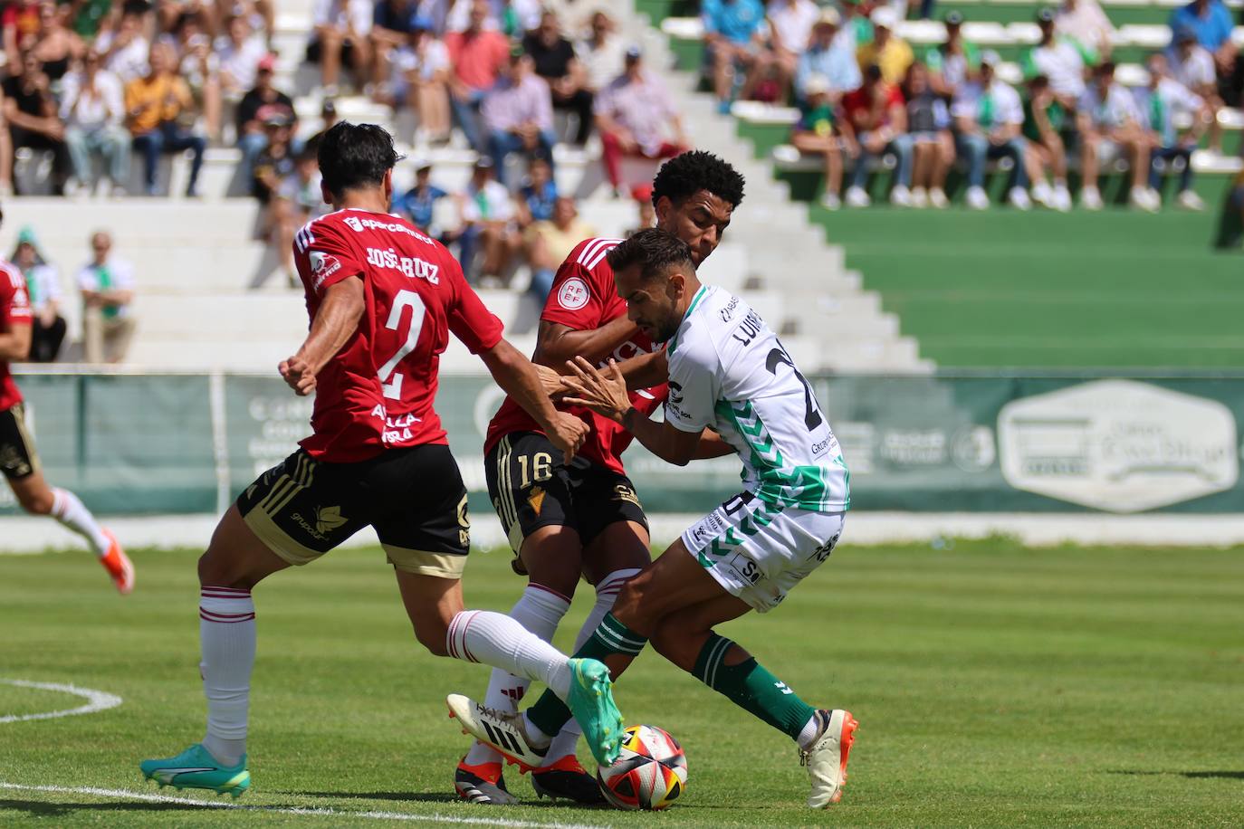 La victoria del Real Murcia frente al Antequera, en imágenes