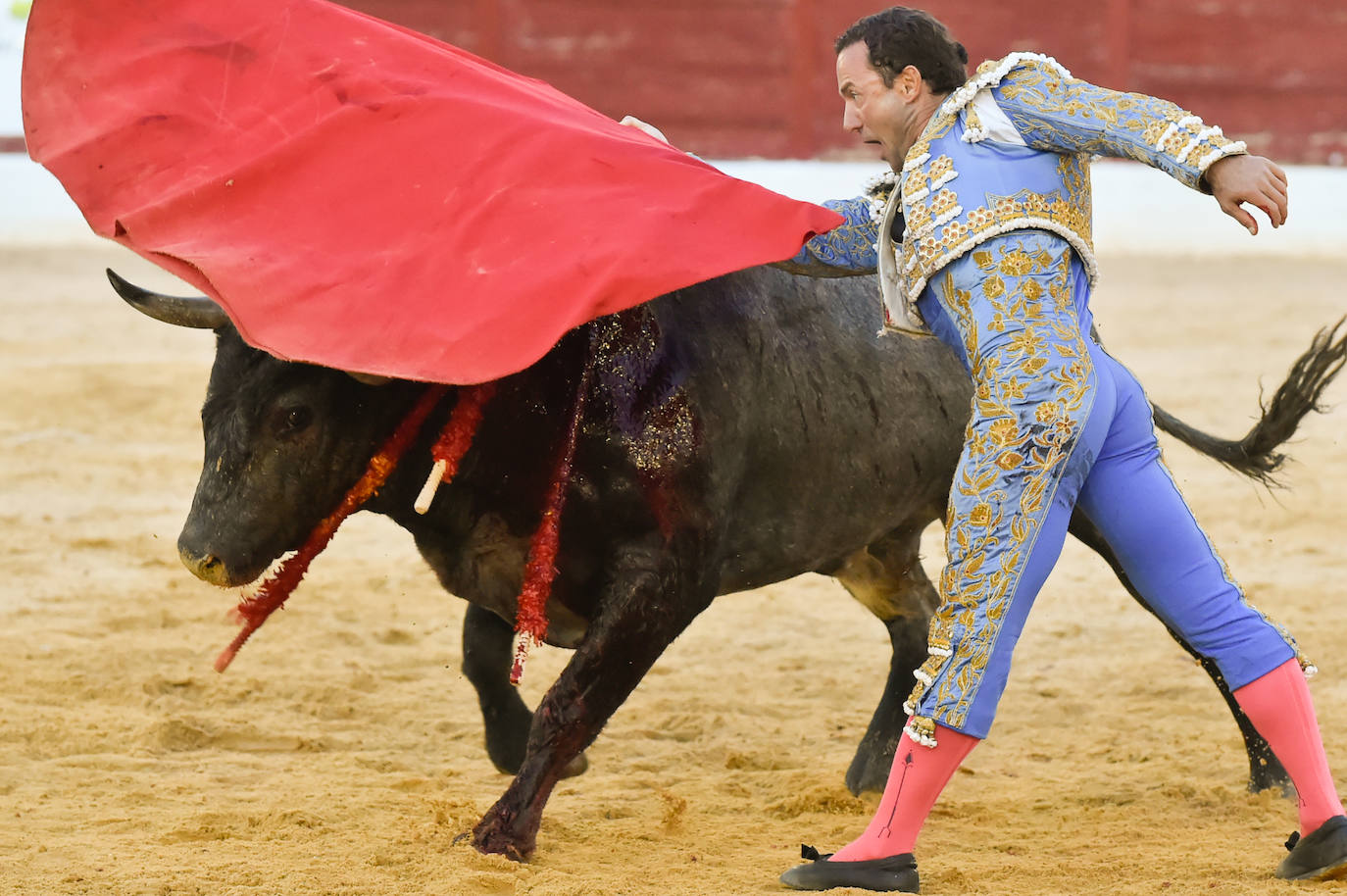 Las imágenes de la corrida de toros en Yecla