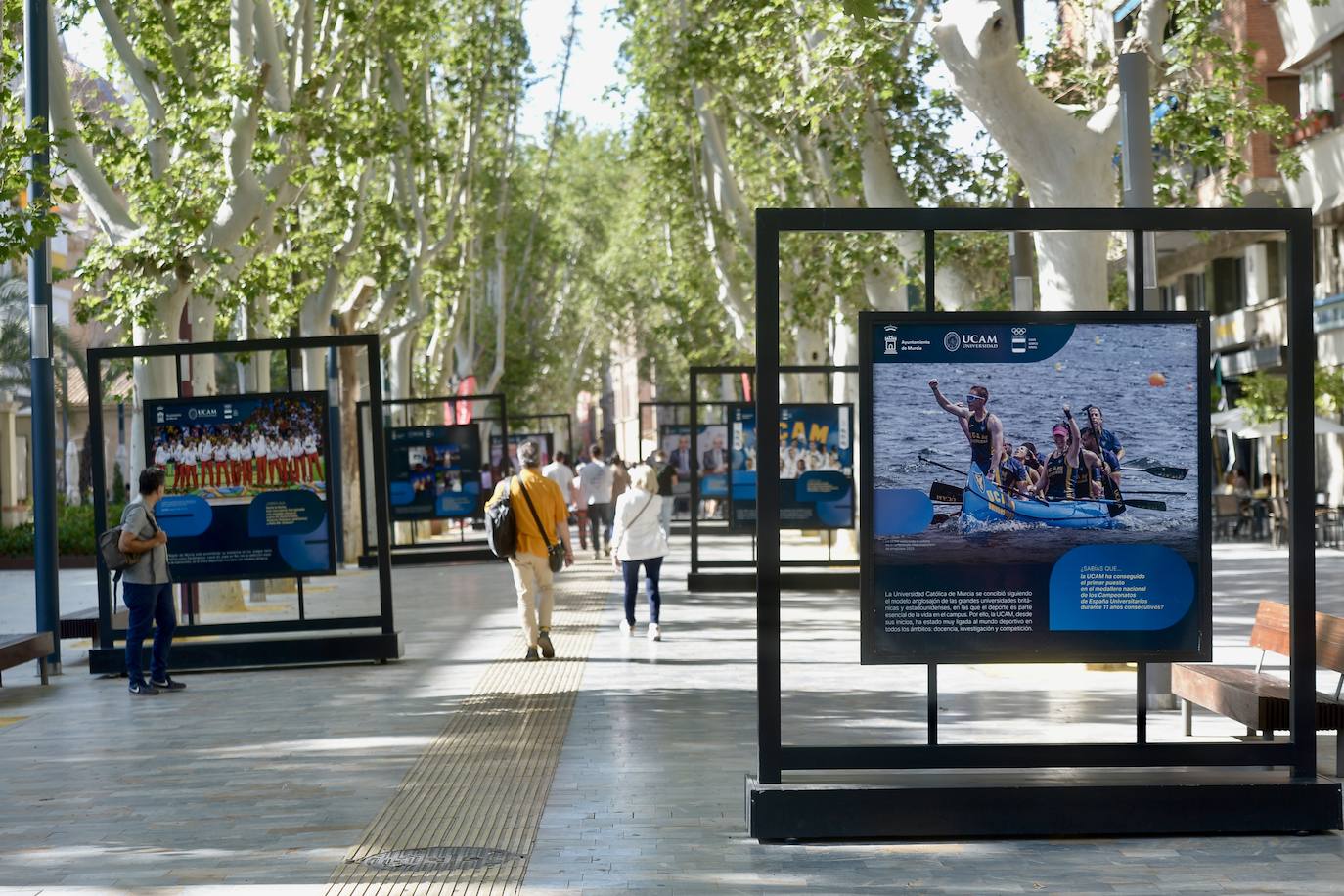 Las hazañas olímpicas de la UCAM en Alfonso X