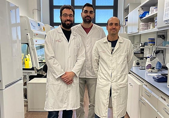 De izquierda a derecha, los investigadores José Martínez, Ignacio Quevedo y Diego Angosto.