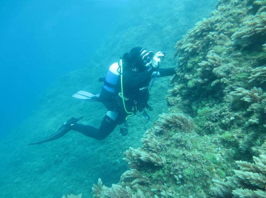 Un buzo profesonal realiza un estudio sobre el fondo marino del puerto de Escombreras.