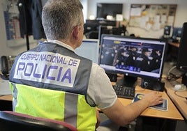 Un agente de la Unidad de Ciberdelitos de la Policía Nacional.