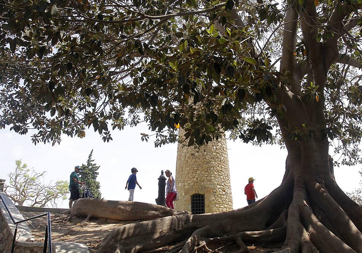 Cerro de la Concepción en una imagen de archivo.