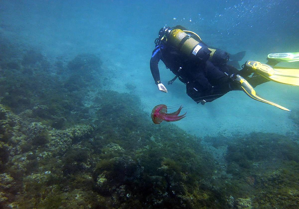 Un turista practica buceo en Cabo de Palos en una imagen de archivo.