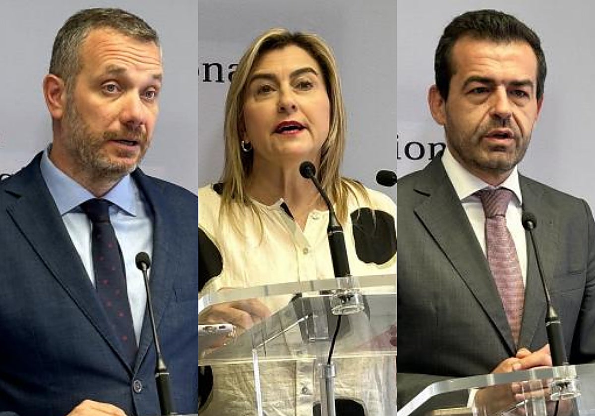 Joaquín Segado, Carmina Fernández y Rubén Martínez Alpañez.