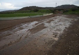 Vista de una parcela y de un camino próximos a Los Blancos (al fondo), en una foto de archivo.