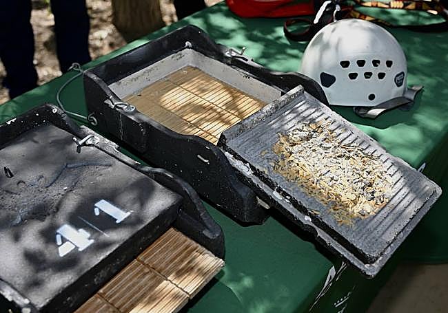 Interior de una de las cajas nido para murciélagos.