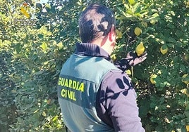 Imagen de archivo de un agente en una explotación agrícola.