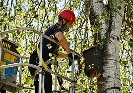 Una de las cajas nido para murciélagos instaladas en el jardín de la Alameda.