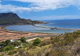 Una máquina trabaja sobre el dique de la bahía de Portmán, en una imagen de archivo.