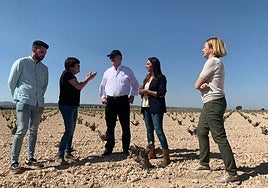 El candidato Pascual de la Parte (centro) y la consejera Rubira (2d) visitan viñedos de Jumilla, este miércoles.