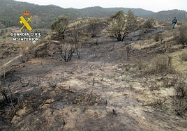 Parte del monte afectado por las llamas.