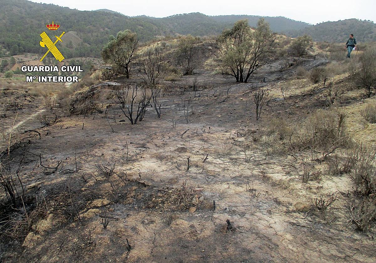 Parte del monte afectado por las llamas.