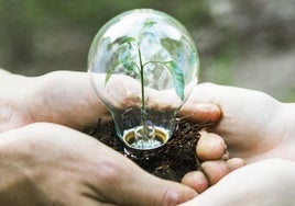 La sociedad ha integrado que la protección del medio ambiente está en sus manos.